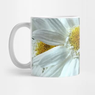 Beautiful white gerbera daisy in focus Mug